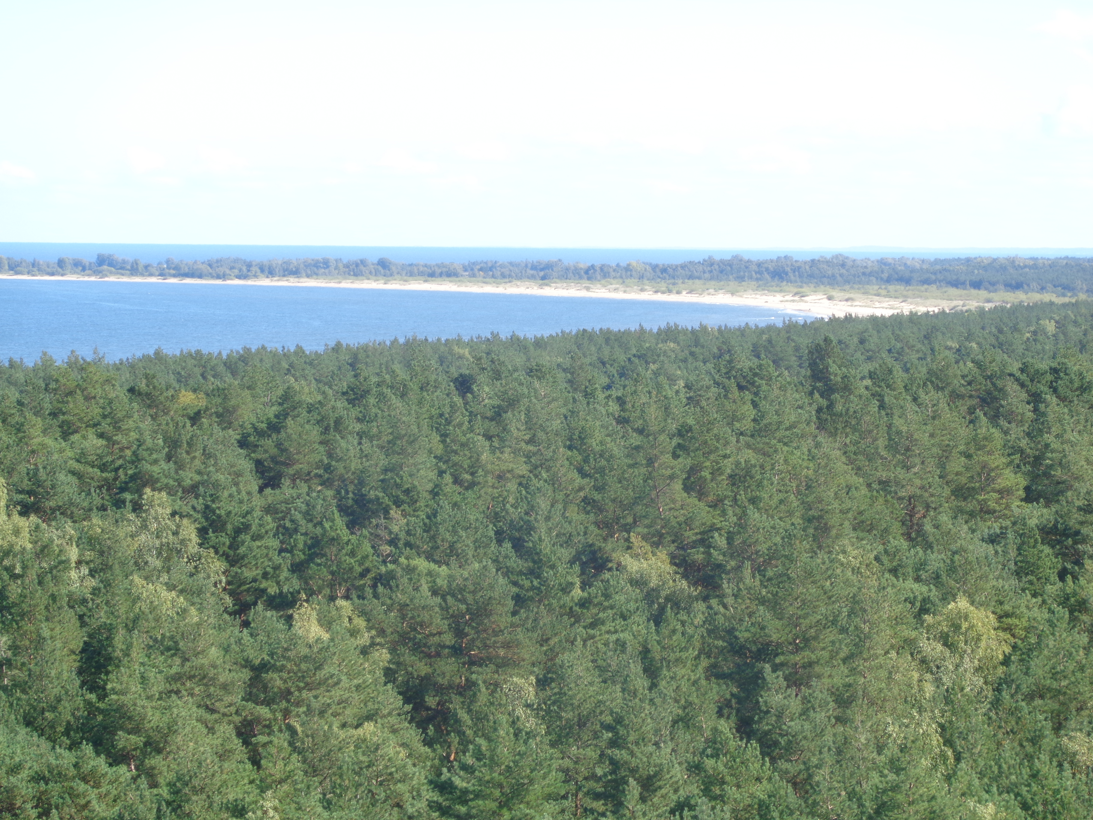 7 zaskakujących miejsc w Gdańsku do zobaczenia w kwietniu/maju 2026 roku