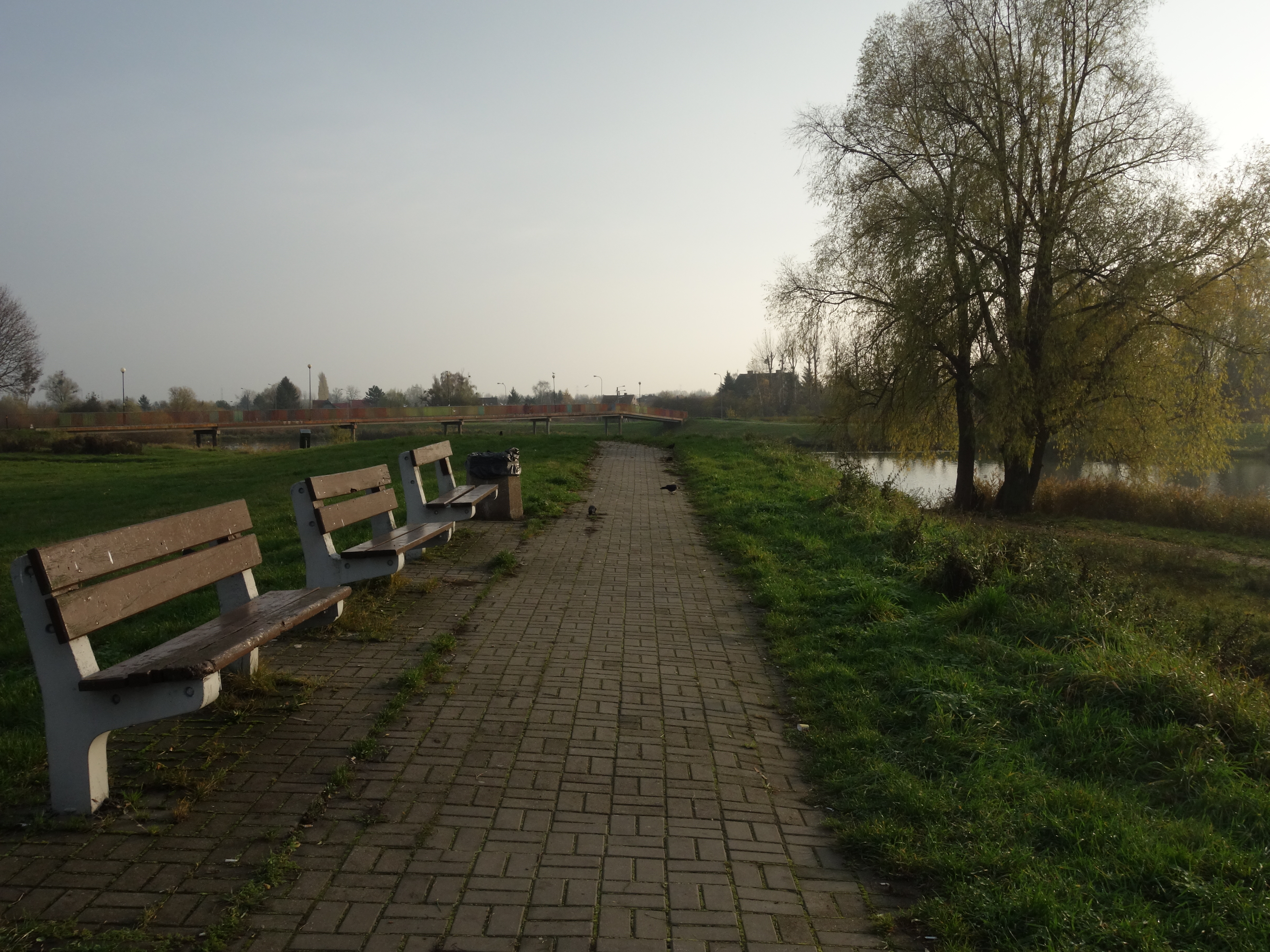 Olszynka i Rudniki – pomysł na spacer/rower mało oczywistym szlakiem (projekt dzielnicowy)
