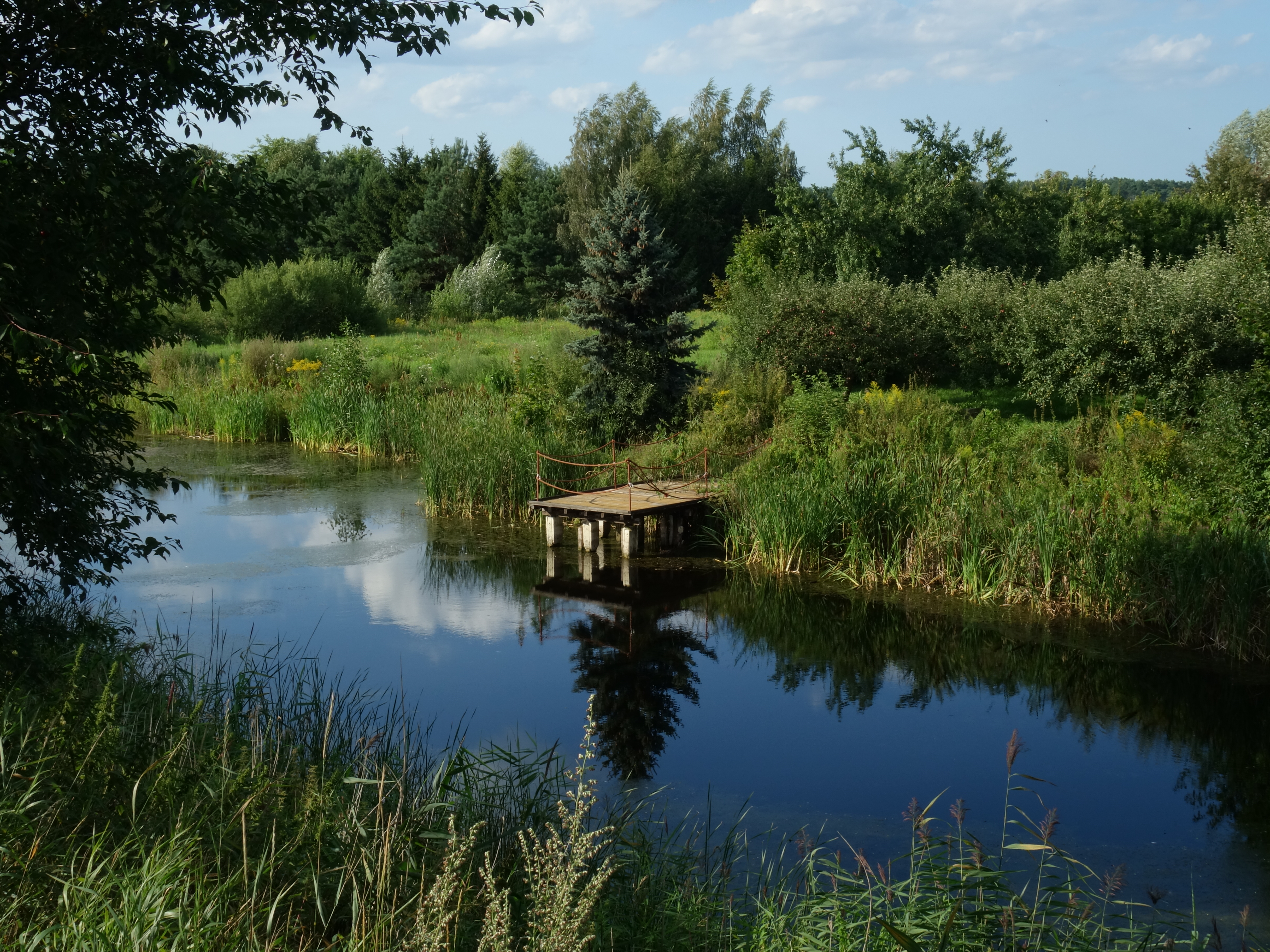 7 niepozornych miejsc, pokazujących jak piękny jest Gdańsk #4