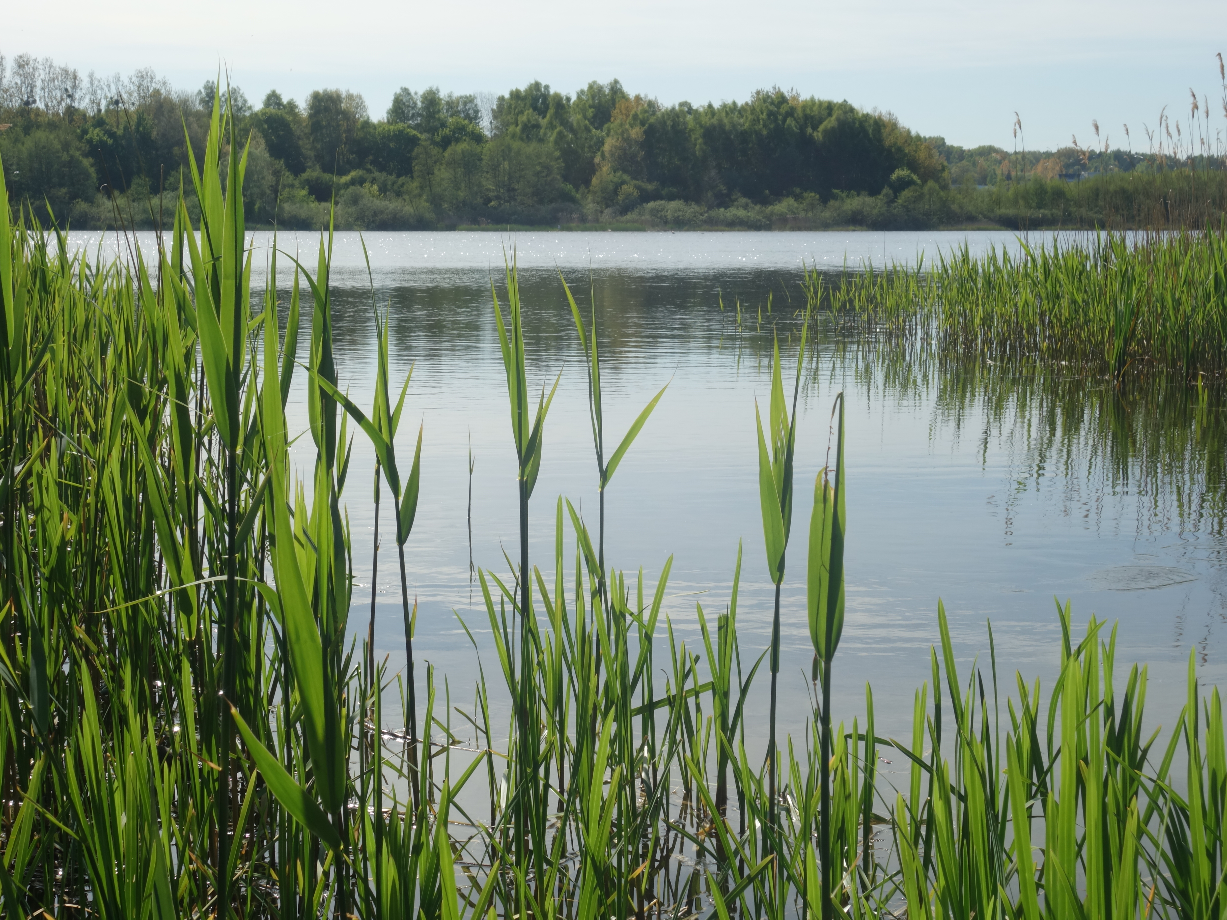 Gdańskie jeziora – jakie są, gdzie są i co oferują?