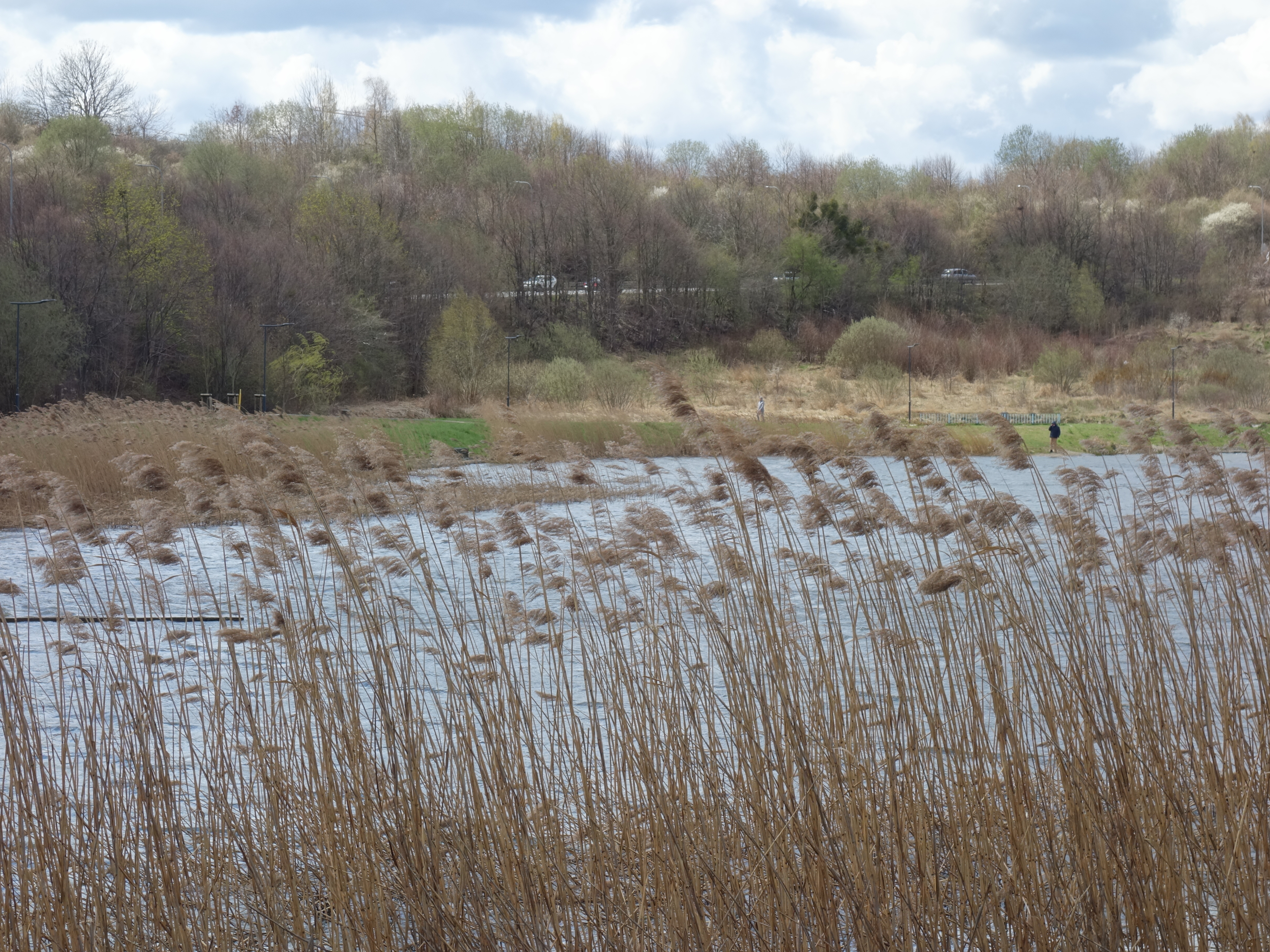 Zakoniczyn – 7 pięknych i ciekawych miejsc (projekt dzielnicowy)
