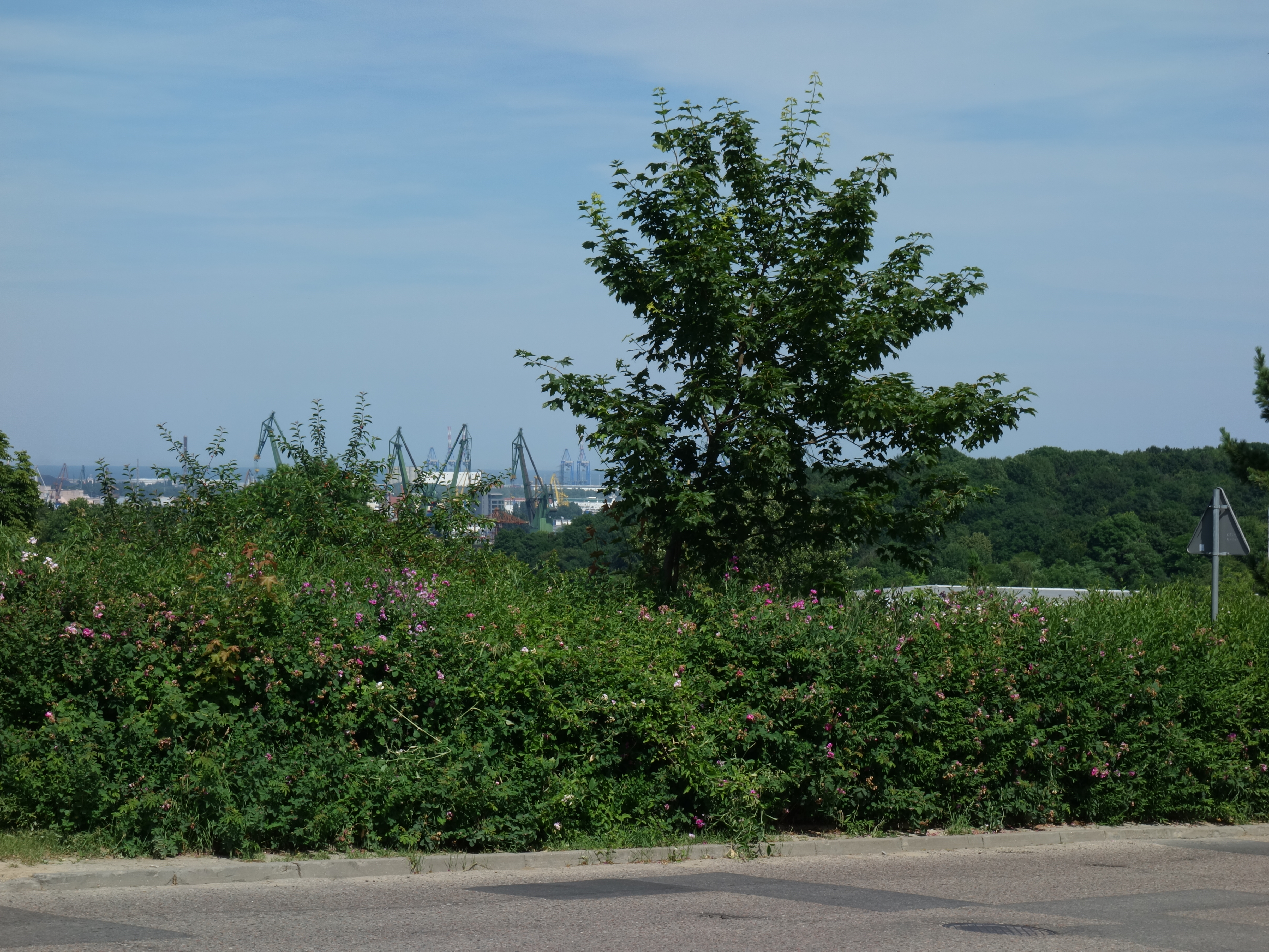 7 ulic w Gdańsku z widokiem na morze