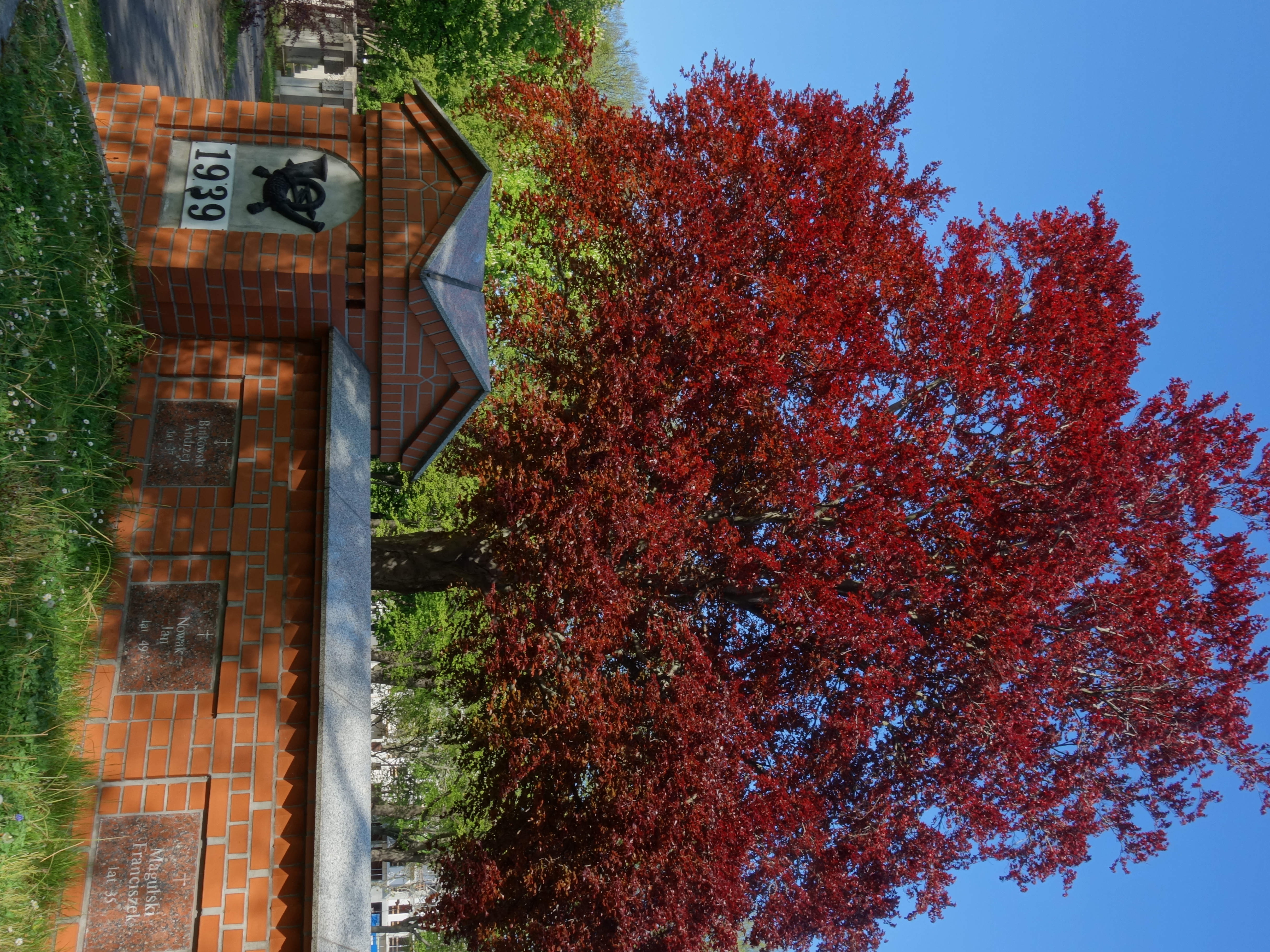 Zaspa – 7 pięknych i ciekawych miejsc (projekt dzielnicowy)