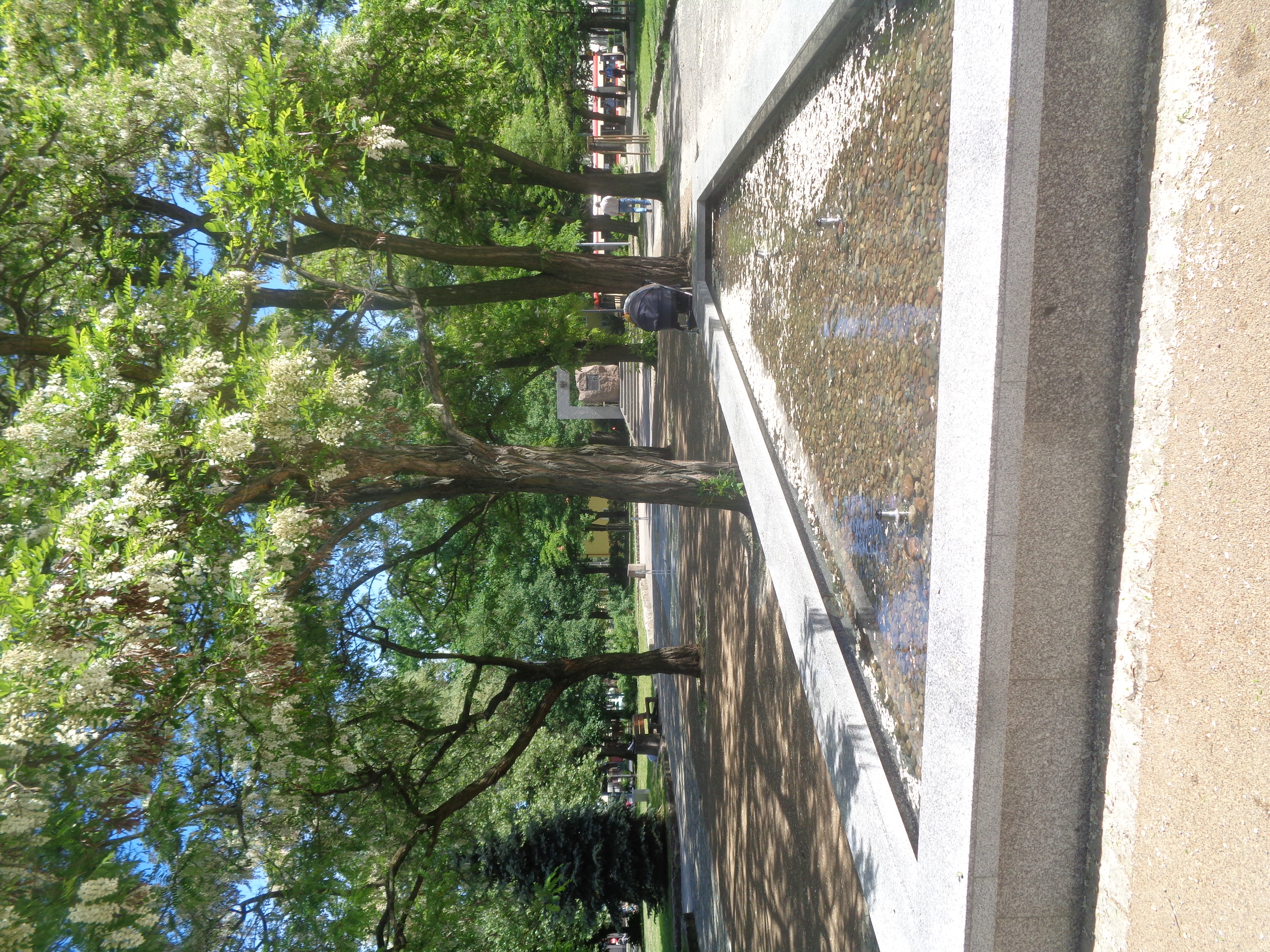 Strzyża i VII Dwór – 7 pięknych i ciekawych miejsc (projekt dzielnicowy)