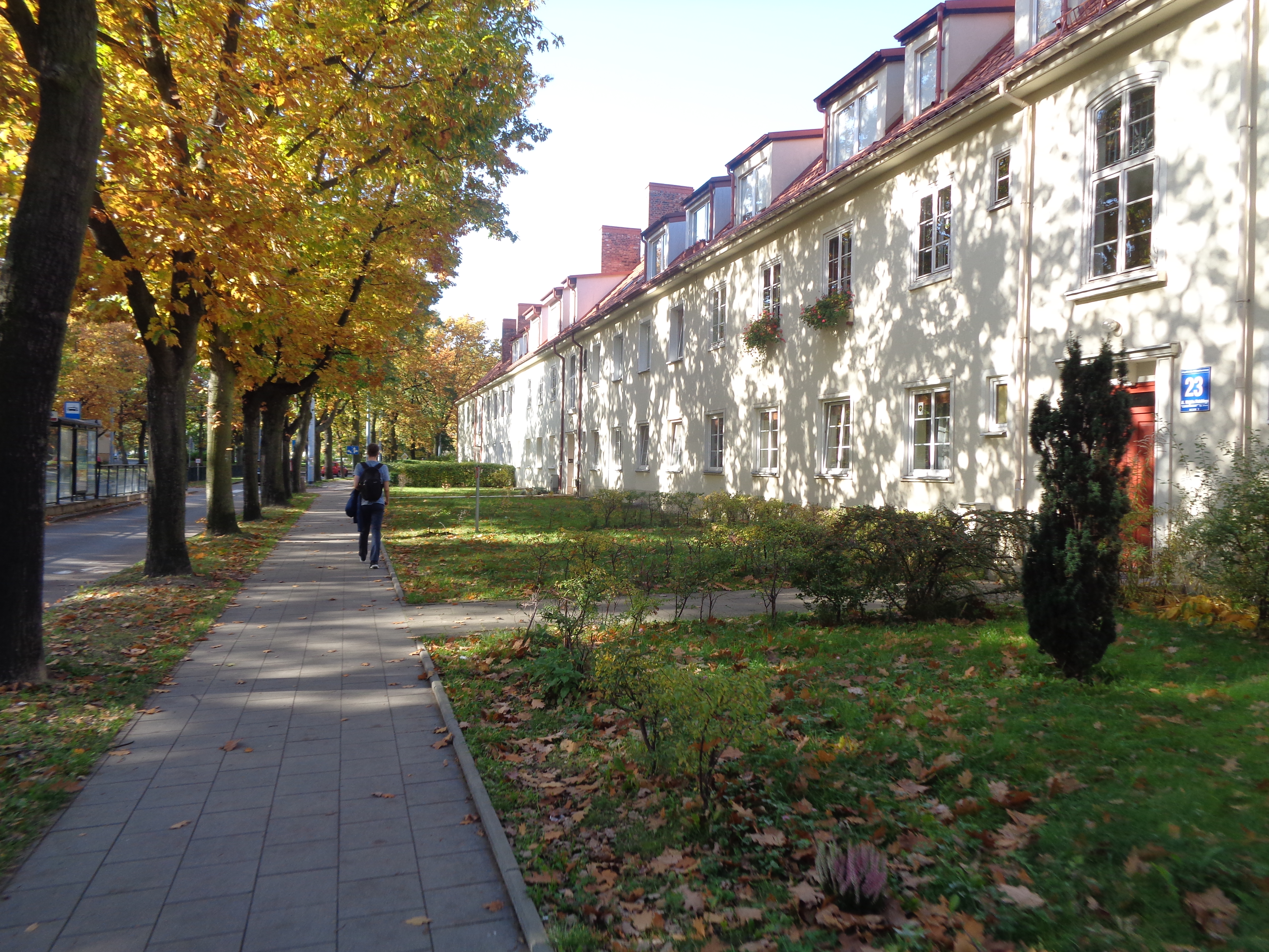 Strzyża i VII Dwór – pomysł na spacer mało oczywistym szlakiem (projekt dzielnicowy)