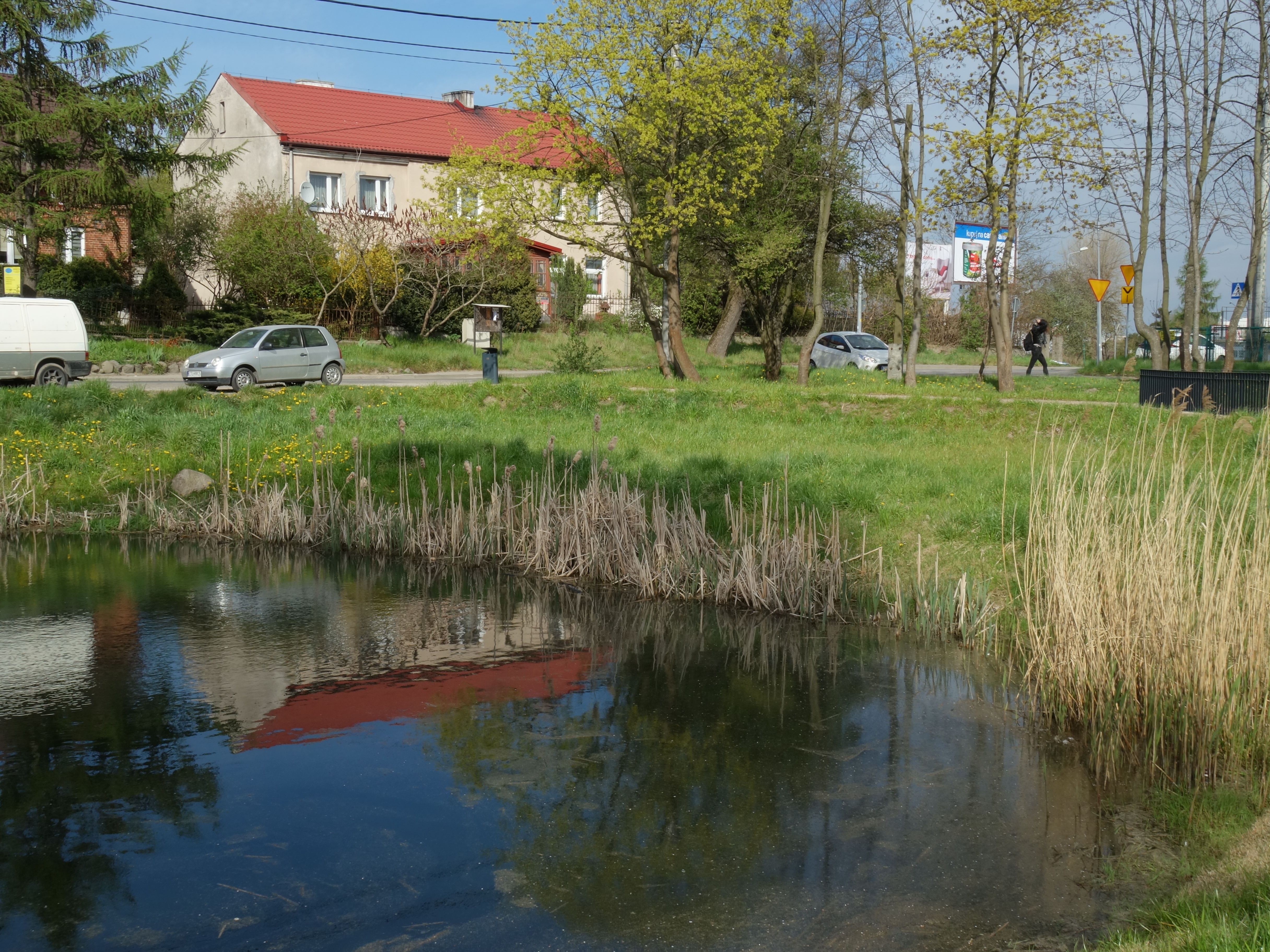 Szadółki i Rębowo – pomysł na spacer mało oczywistym szlakiem (projekt dzielnicowy)