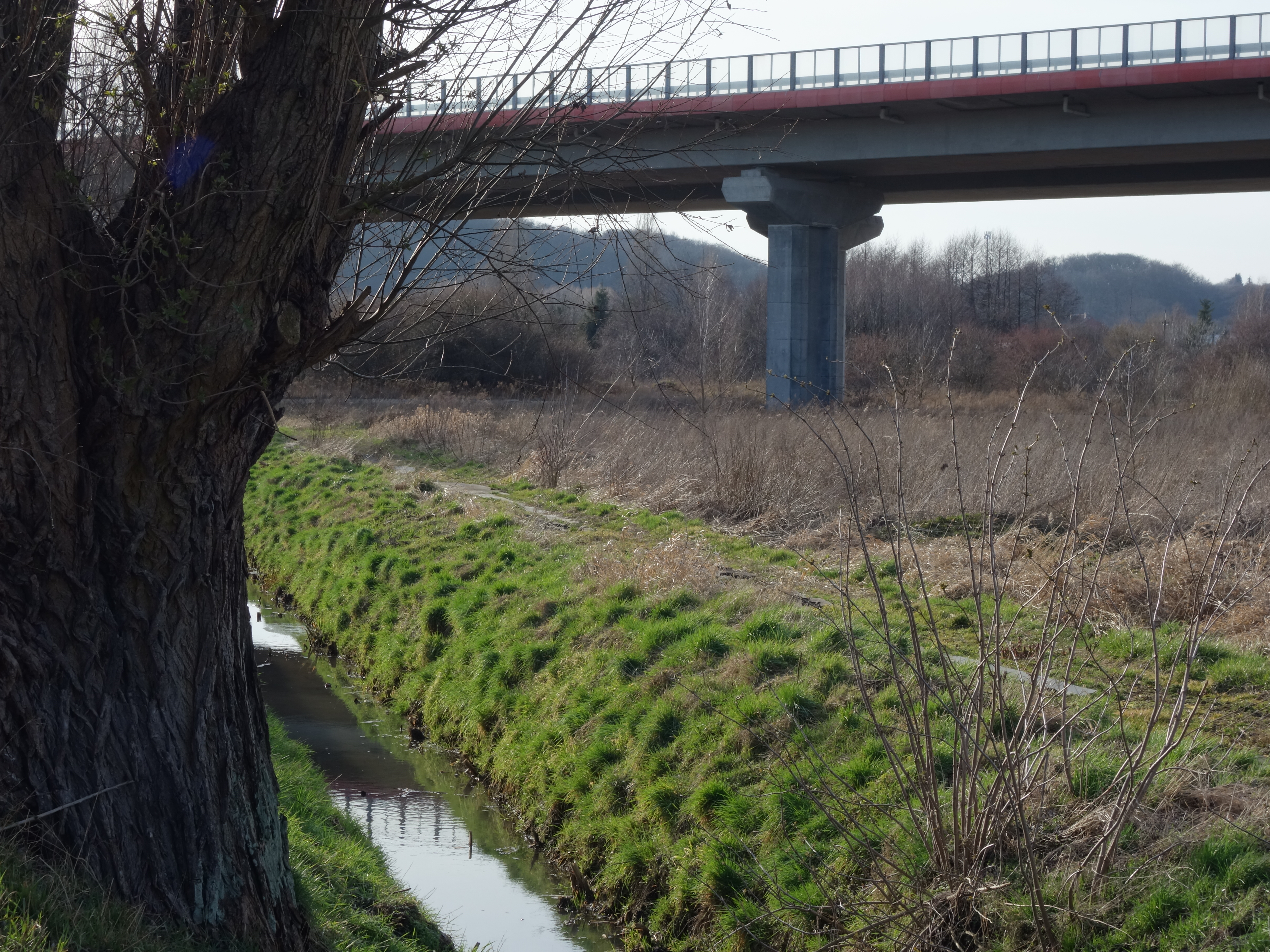 Siedem ulic, pokazujących jak ciekawym miastem jest Gdańsk #25