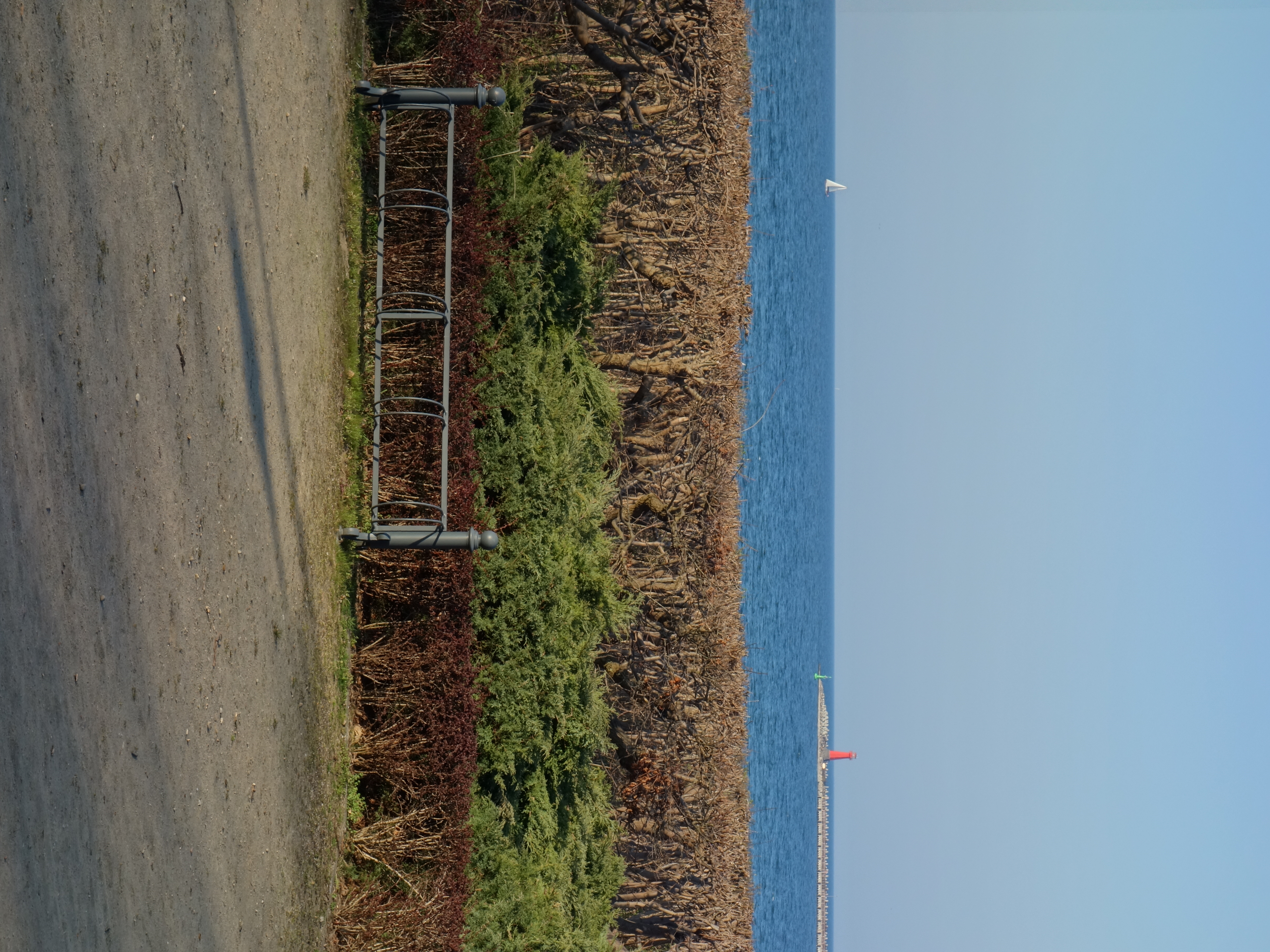 7 dogodnych miejsc w Gdańsku na spacer z dzieckiem