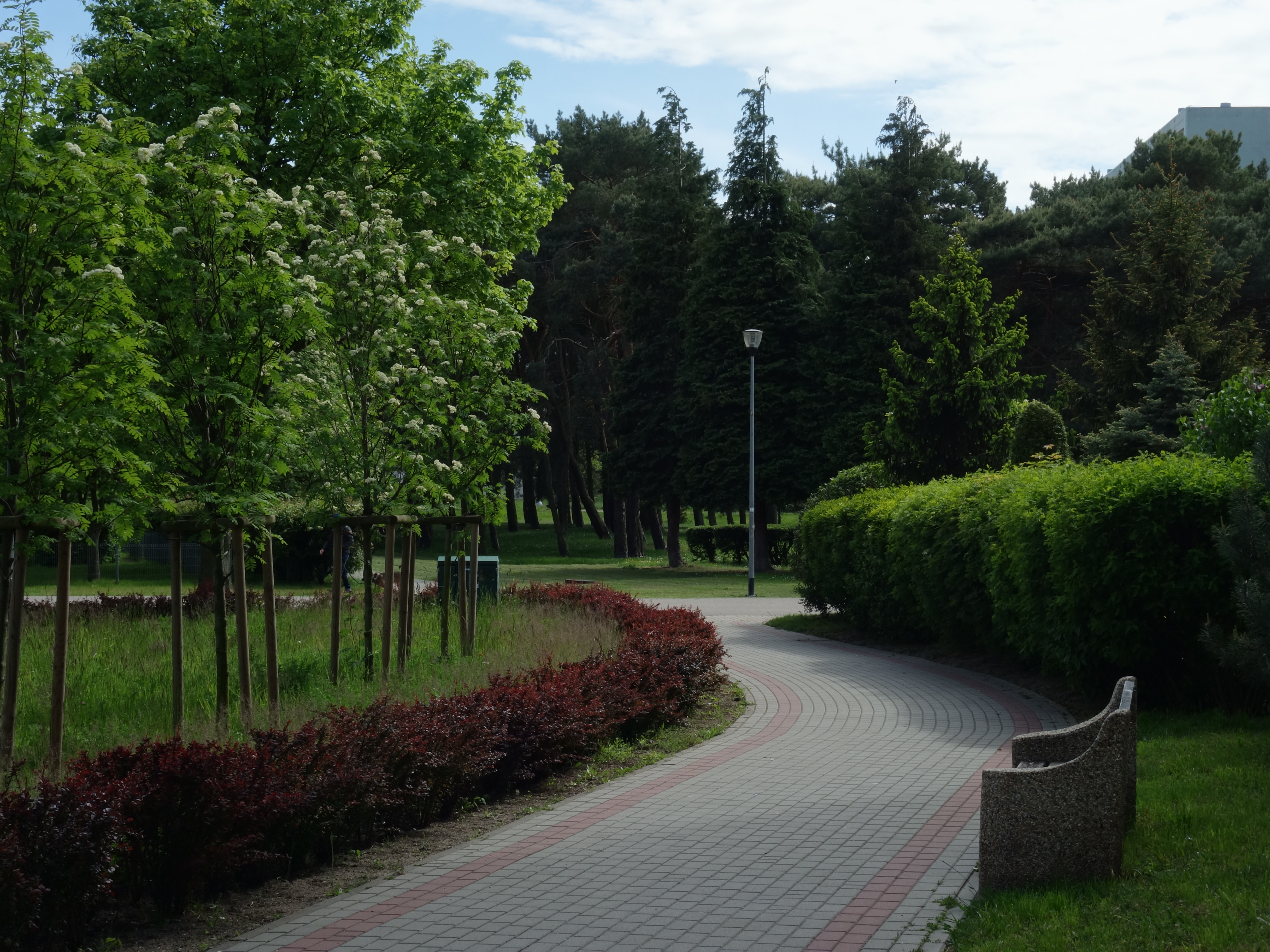 Żabianka i Jelitkowo – pomysł na spacer mało oczywistym szlakiem (projekt dzielnicowy)