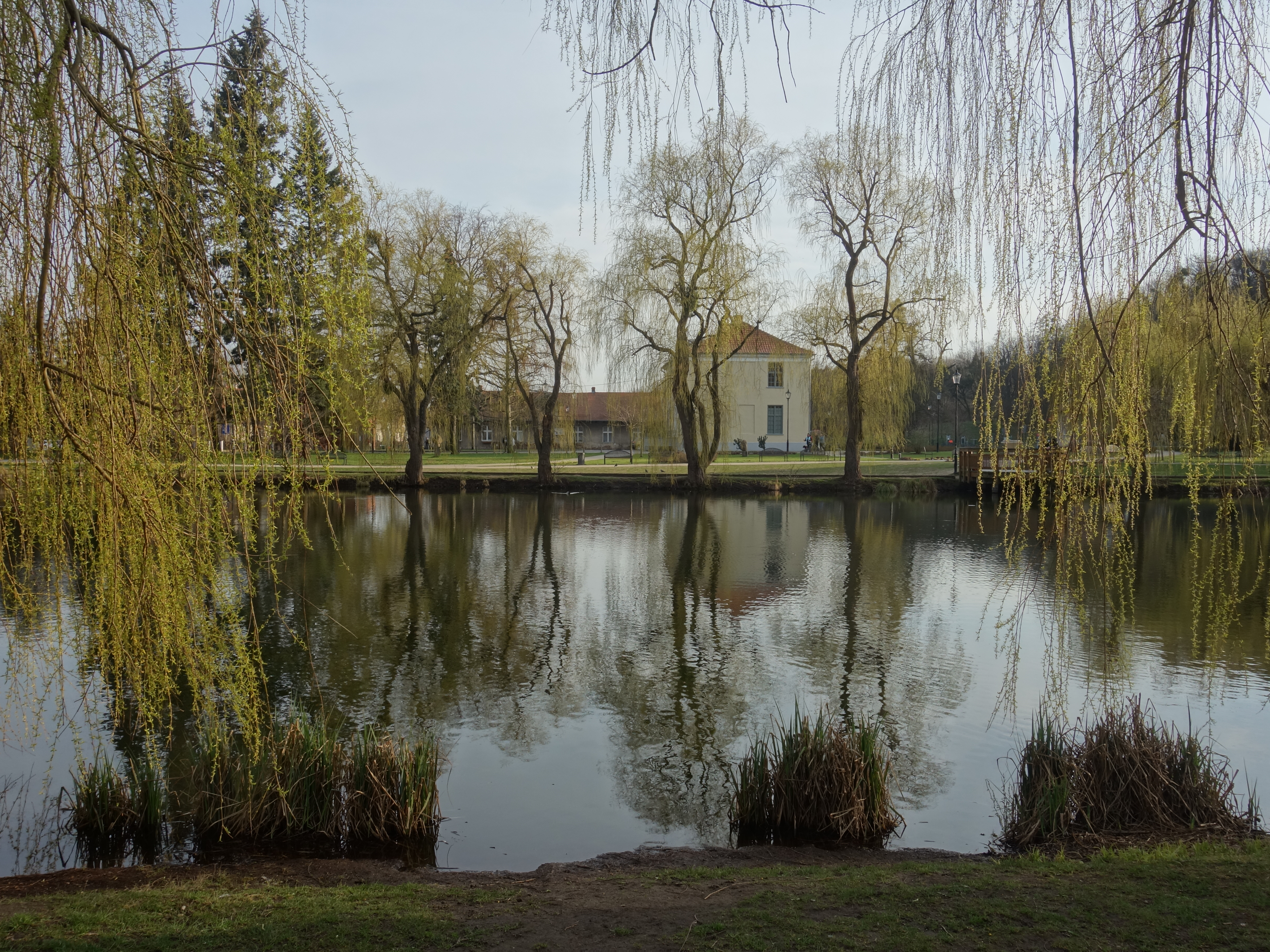 Rowerowa pętla po Gdańsku – 8 uroczych miejsc nad kanałem i rzekami (Orunia, Lipce, Św. Wojciech)