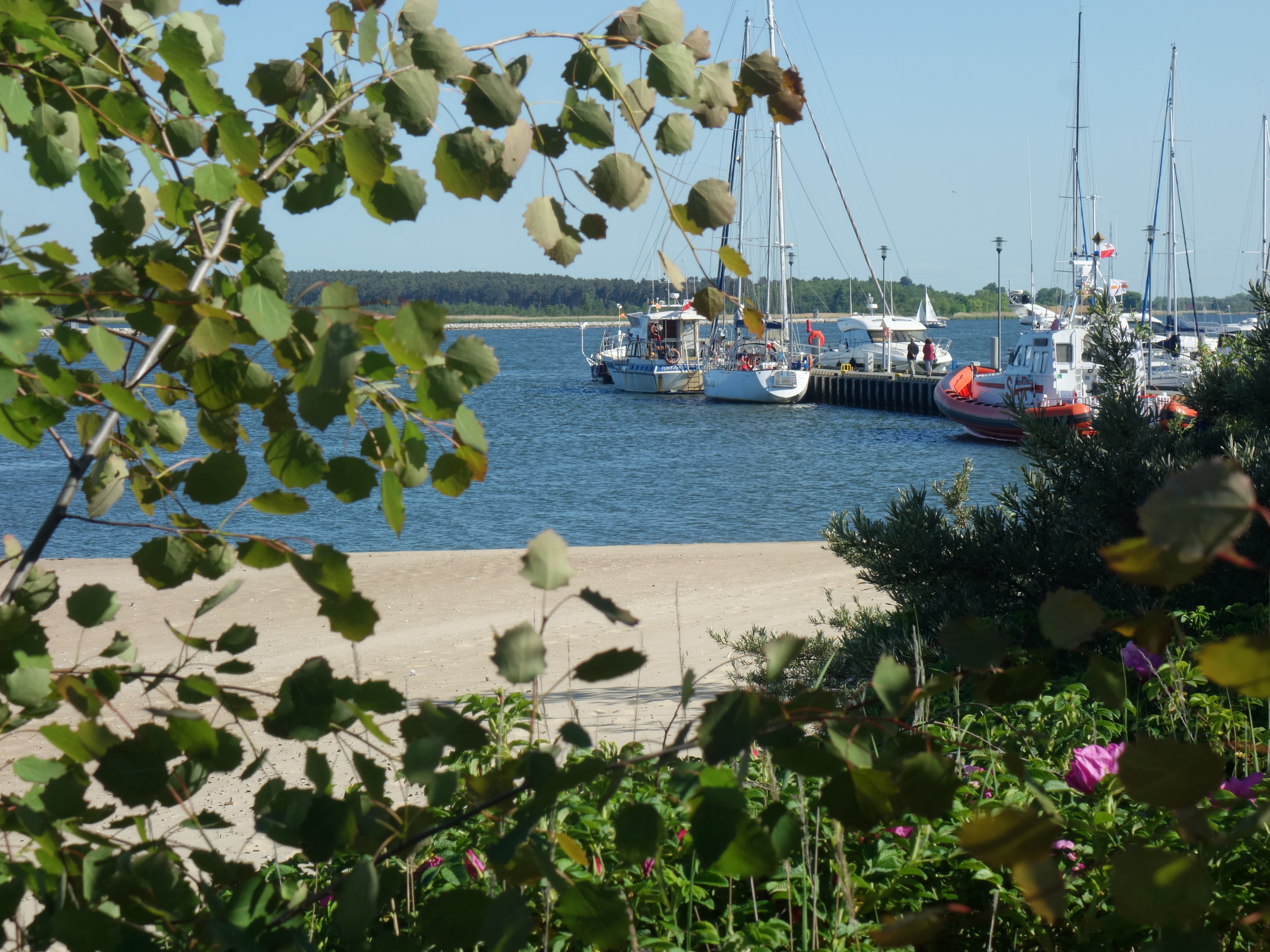 7 rewelacyjnych miejscówek na letni dzień w Gdańsku