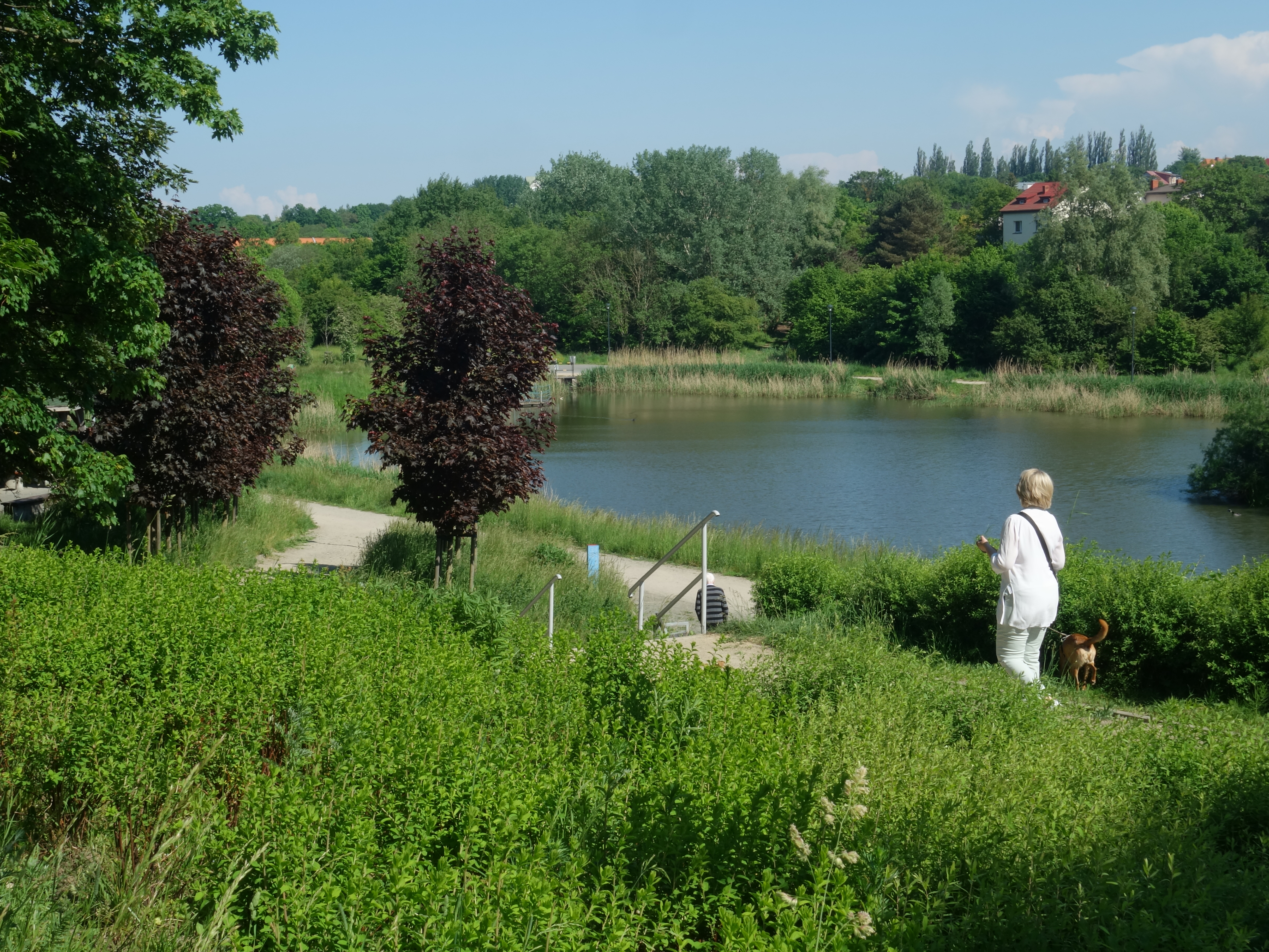 37 km rowerem po Gdańsku – różnorodne krajobrazy, interesujące miejsca, cudne miasto!