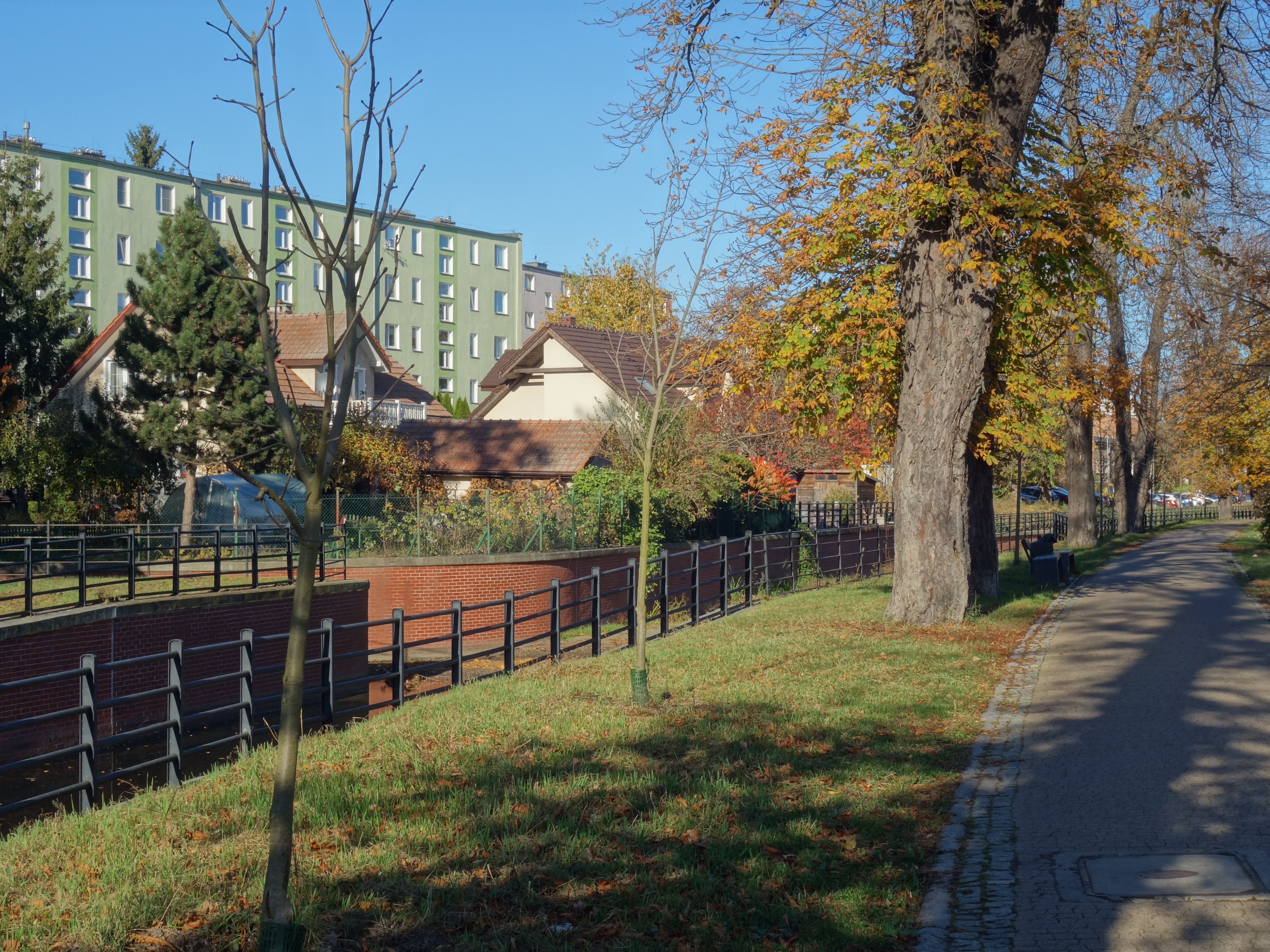 Pokazując Żonie Gdańsk
