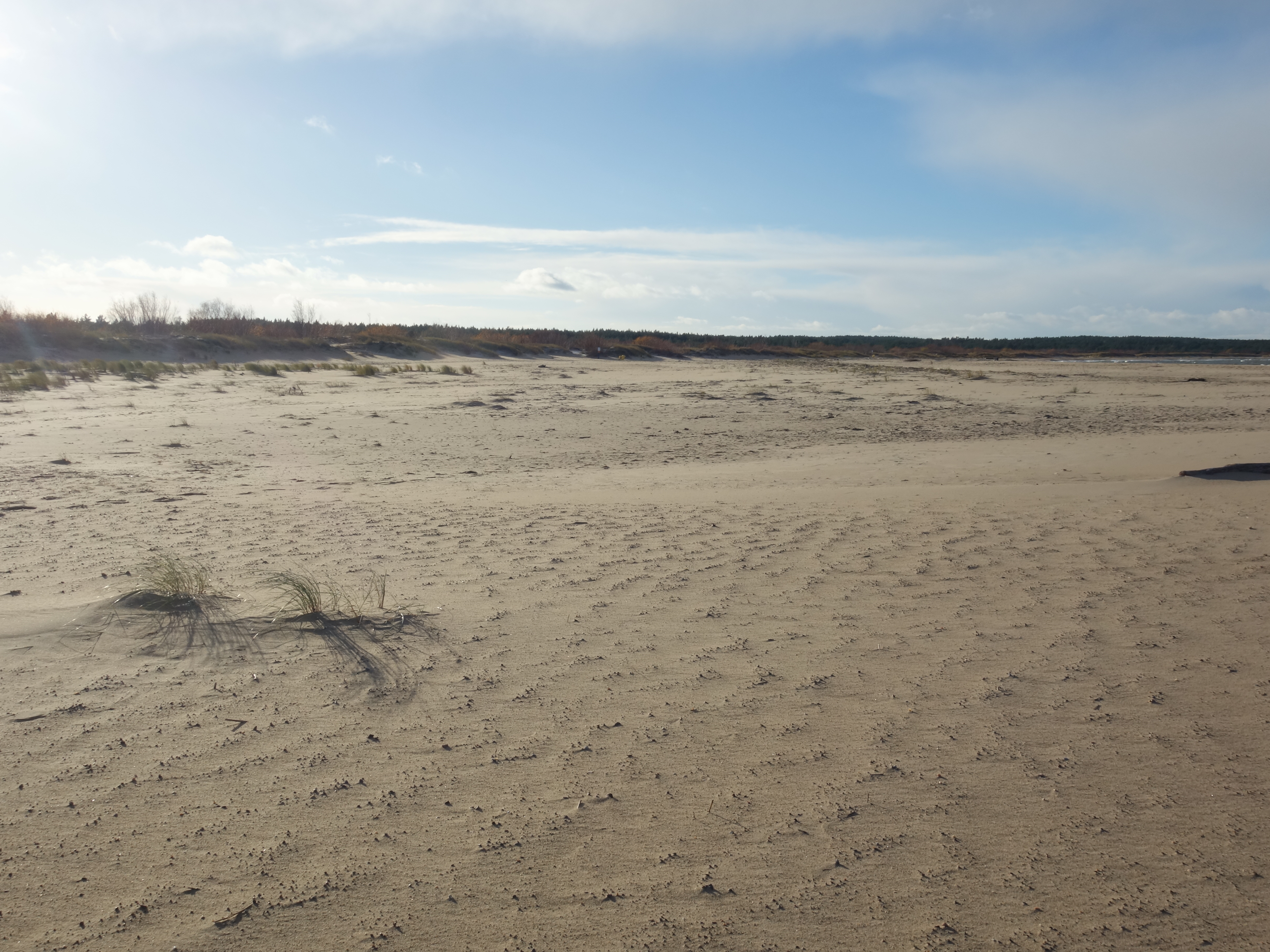 Plaże w Gdańsku – siedem NAJPIĘKNIEJSZYCH fragmentów