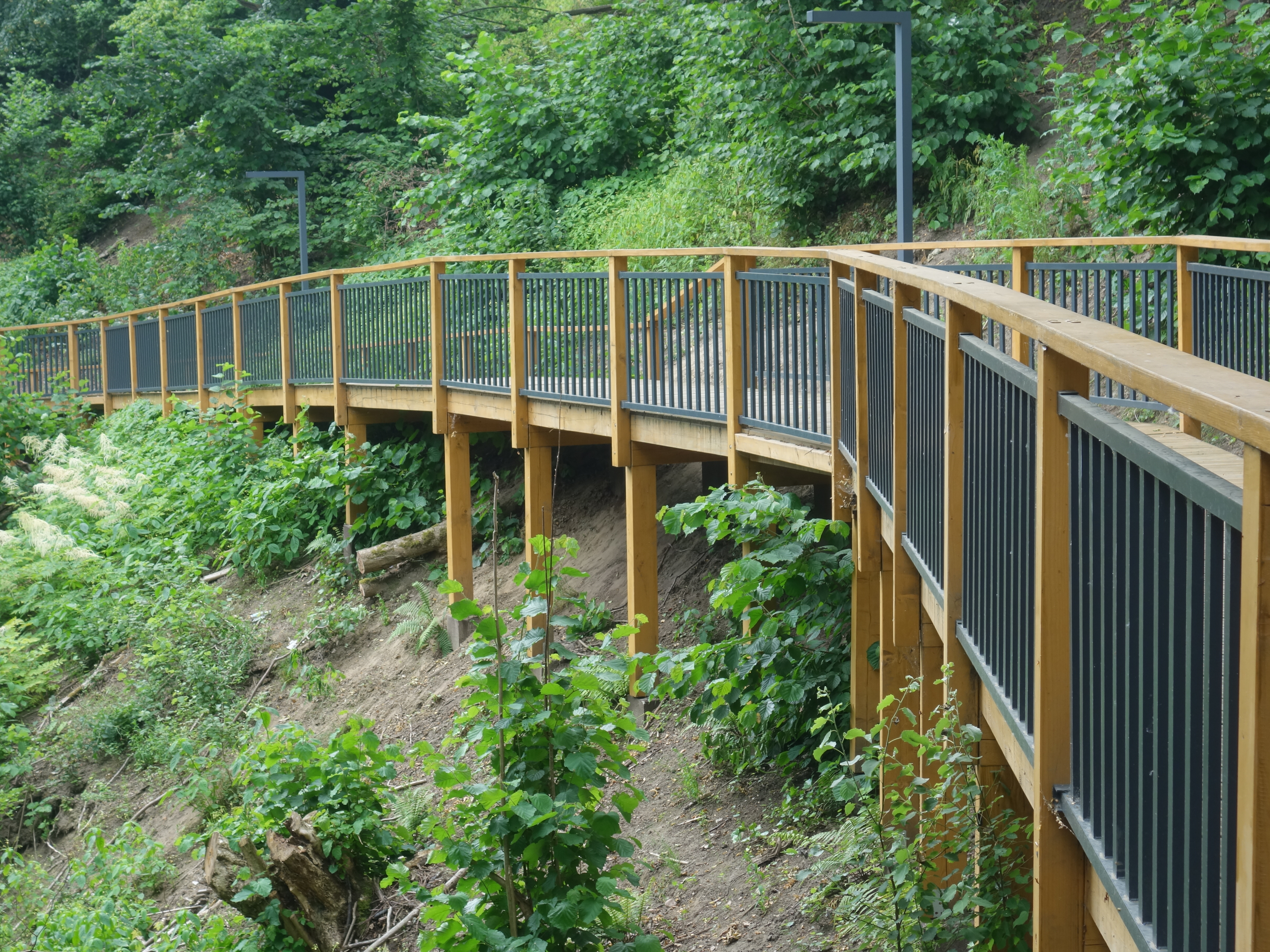 Ujeścisko i Zakoniczyn, czyli zbiorniki retencyjne, nowe osiedla i ślady historii