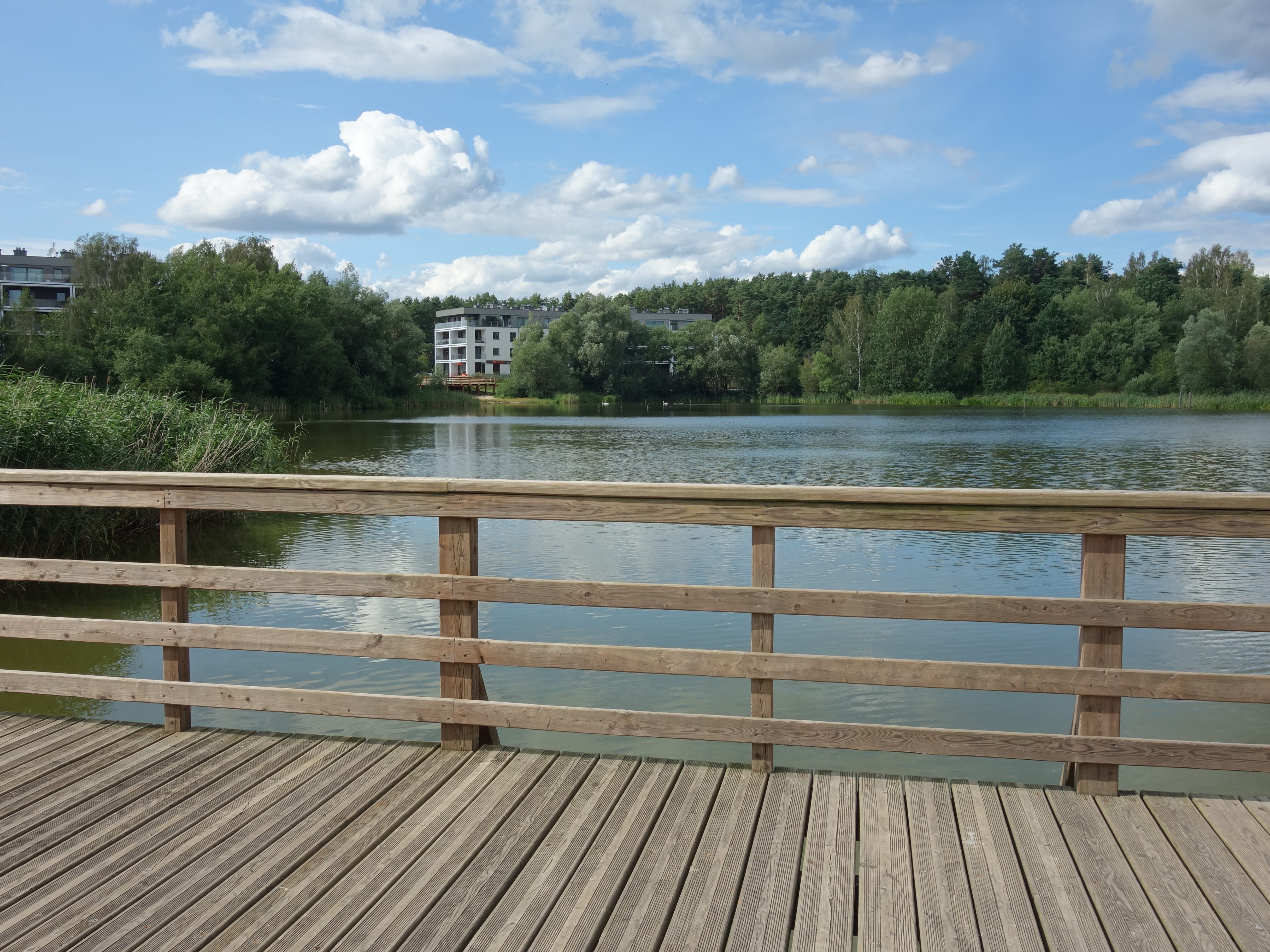 10 najpiękniejszych zbiorników wodnych w Gdańsku (stawy, zbiorniki retencyjne, jeziora)