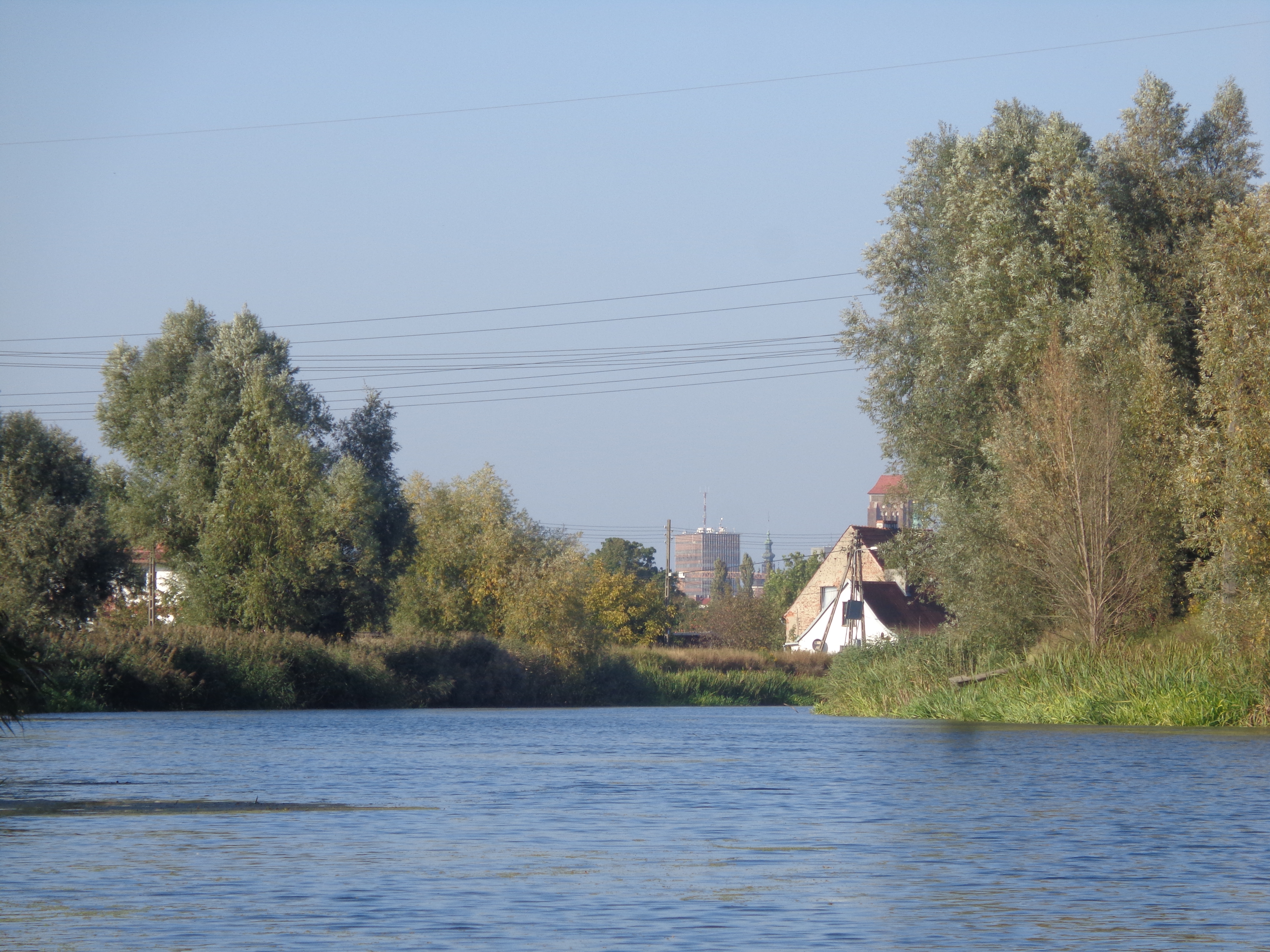Pomysł na dzień w Gdańsku #5 – sielska odsłona Gdańska i odkrywanie Dolnego Miasta